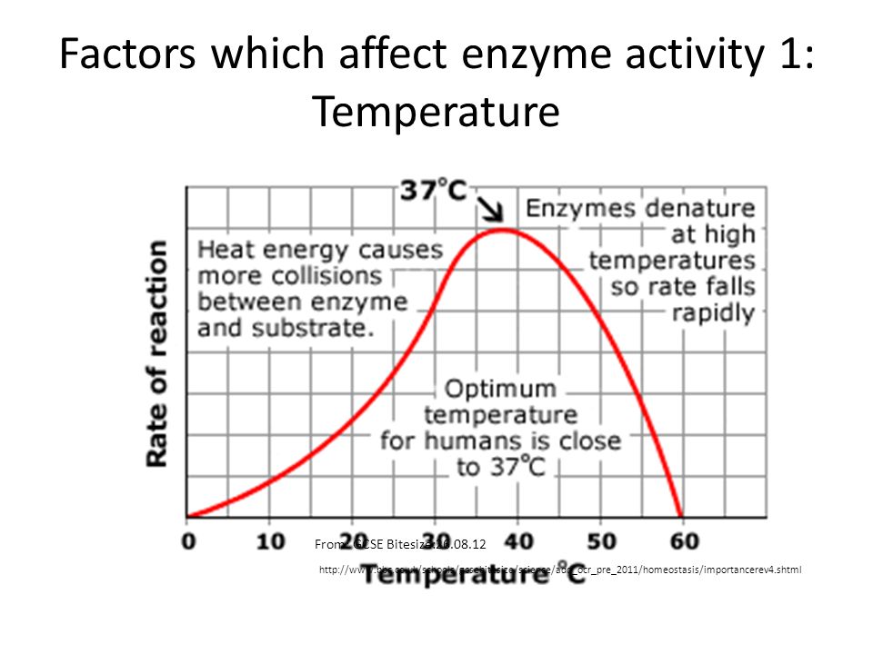 Effect of temperature and pH on enzyme activity